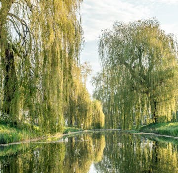 Navigating the Nuances of Willow Ryder’s “Truth or Feet”