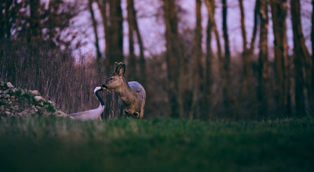 Navigating the LASIK Coverage Maze: What Your Insurance Actually Covers