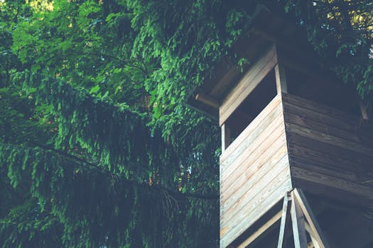 Fort Collins Home Improvement: Unlocking Your Next Project at Lowe’s