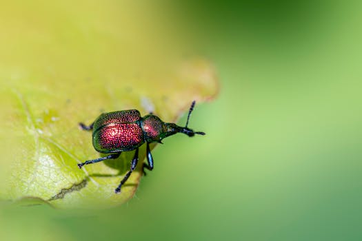 Decoding Aspen Behavioral Health: Your Practical Roadmap to Wellness