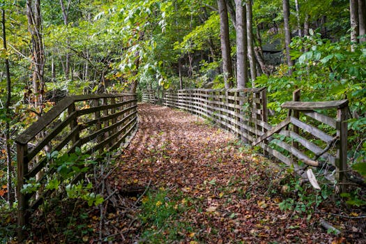 Decoding the Magic: Why Lifestyle Newborn Photography in WV Captures More Than Just an Image